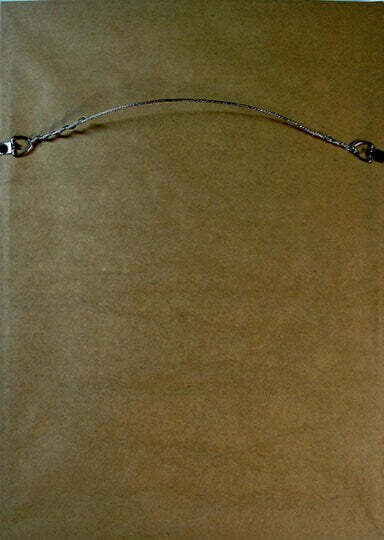 Audubon Print Hooping Crane Framed A+ Quality