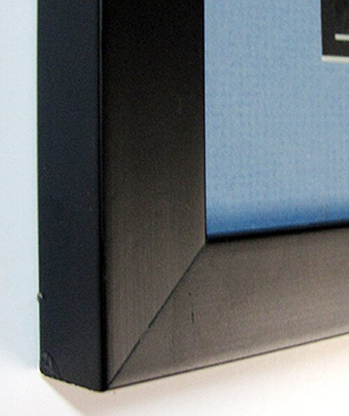 Godzilla Vs Destroyer Poster Custom Framed & Mated Finest Quality