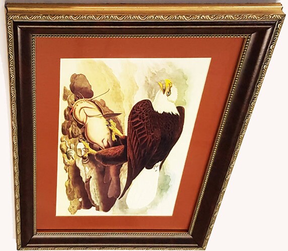 Bald Eagle Audubon Vintage Style framed Print Finest Quality
