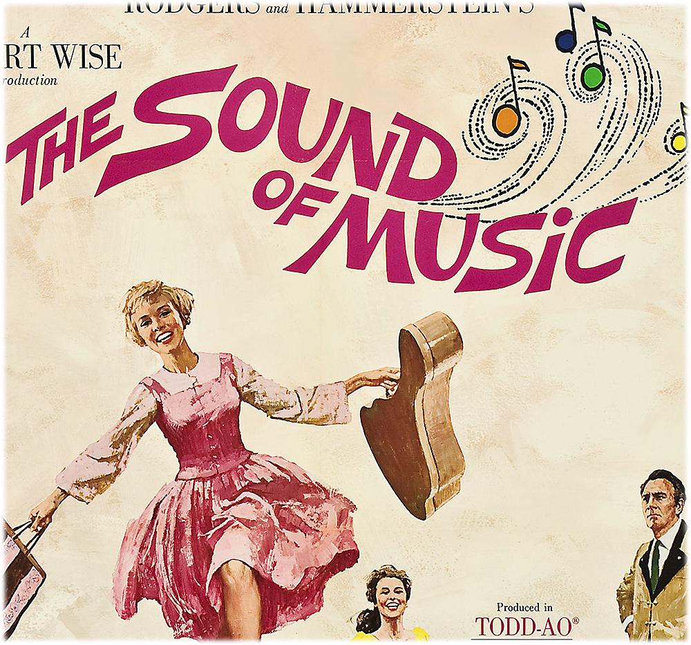 The Sound of Music Movie Poster Framed