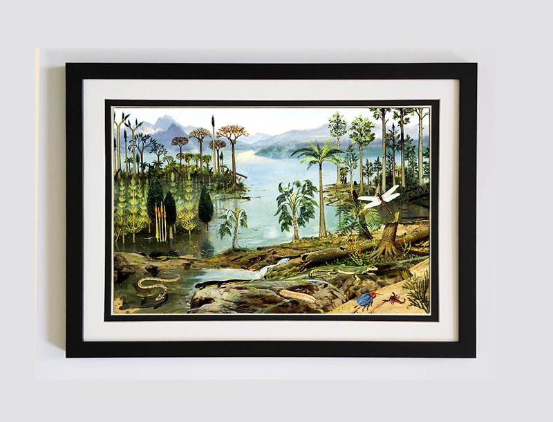 The Age of Amphibians Framed Art Print