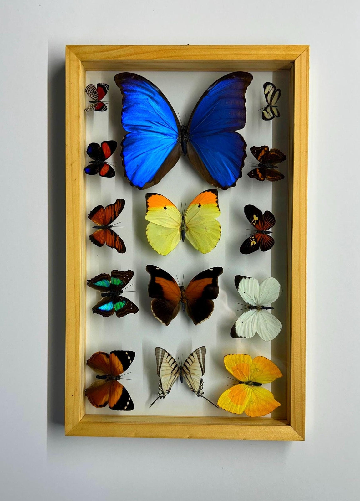 Mothers Day Gift Framed Butterflies