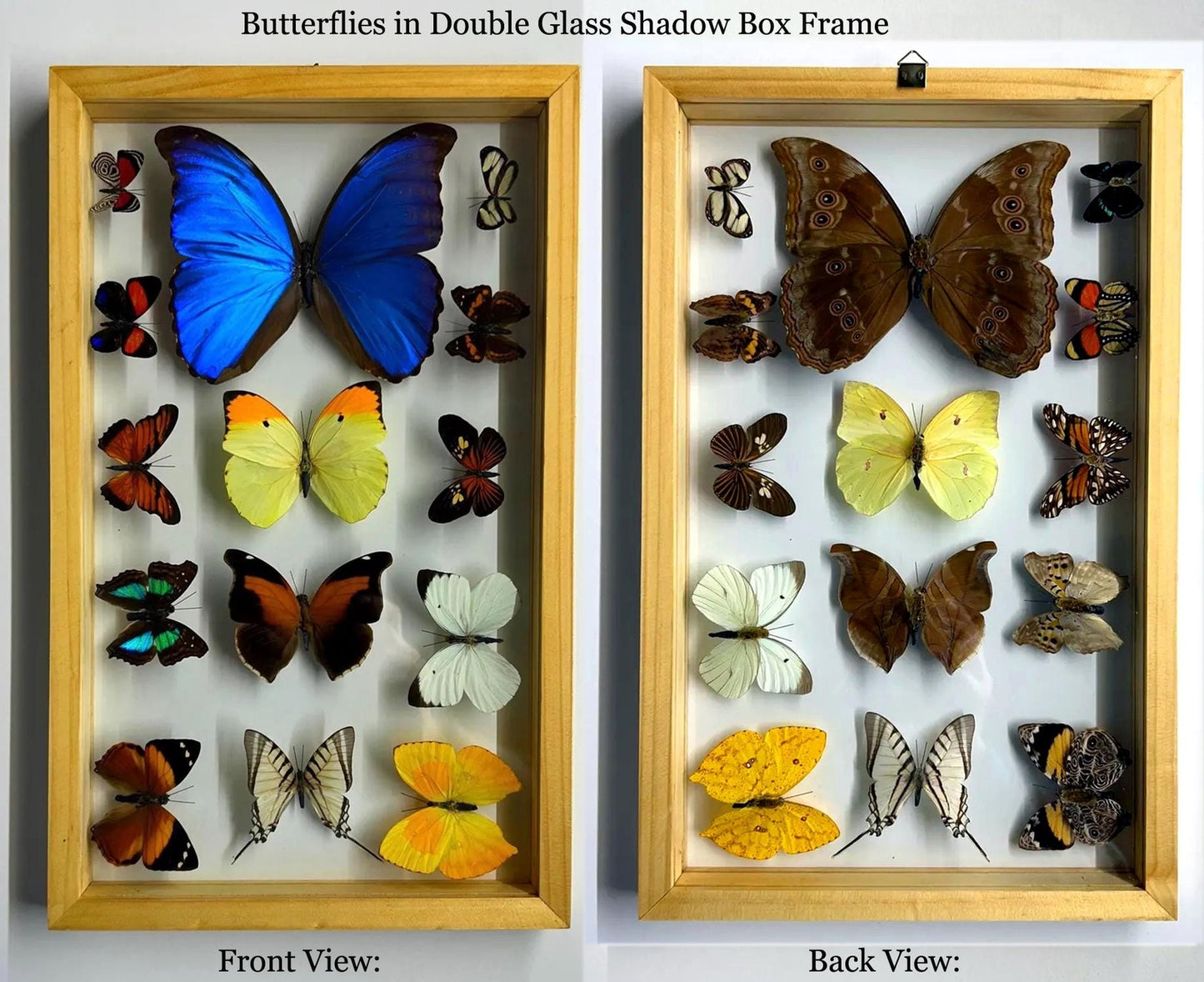 Mothers Day Gift Framed Butterflies