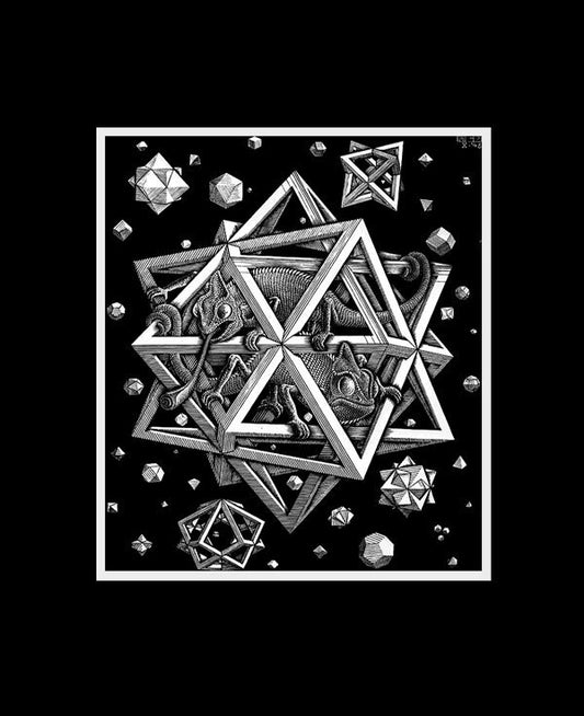 MC Escher Chameleons Poster Print