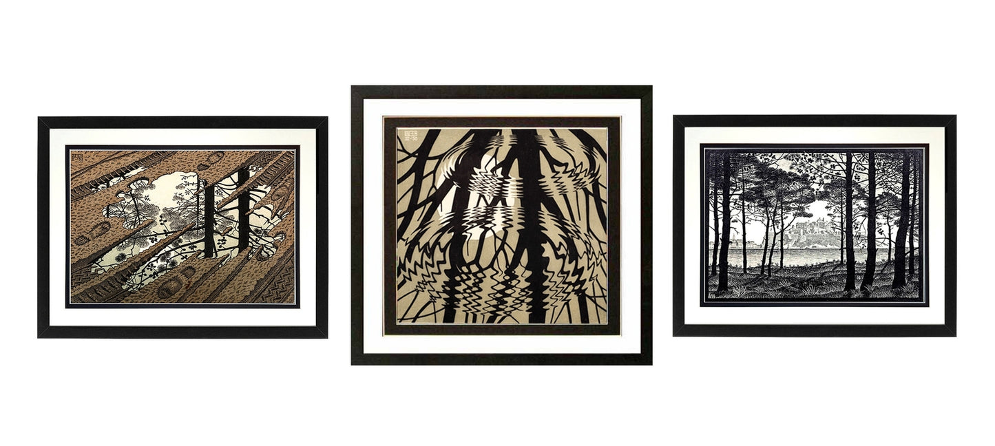 M.c. Escher Art framed Set Nature Series