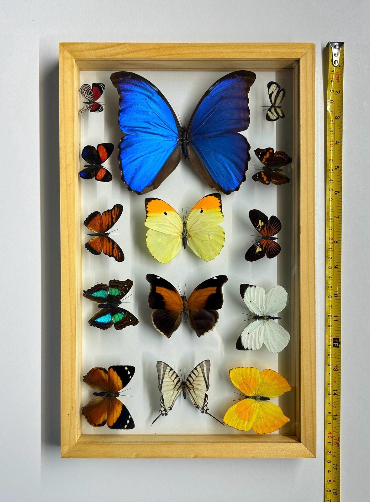 Mothers Day Gift Framed Butterflies