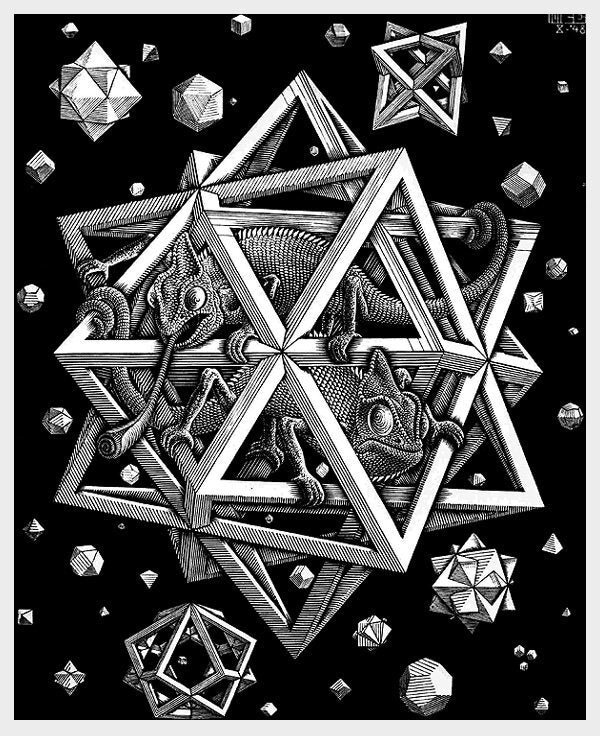 MC Escher Chameleons Poster Print