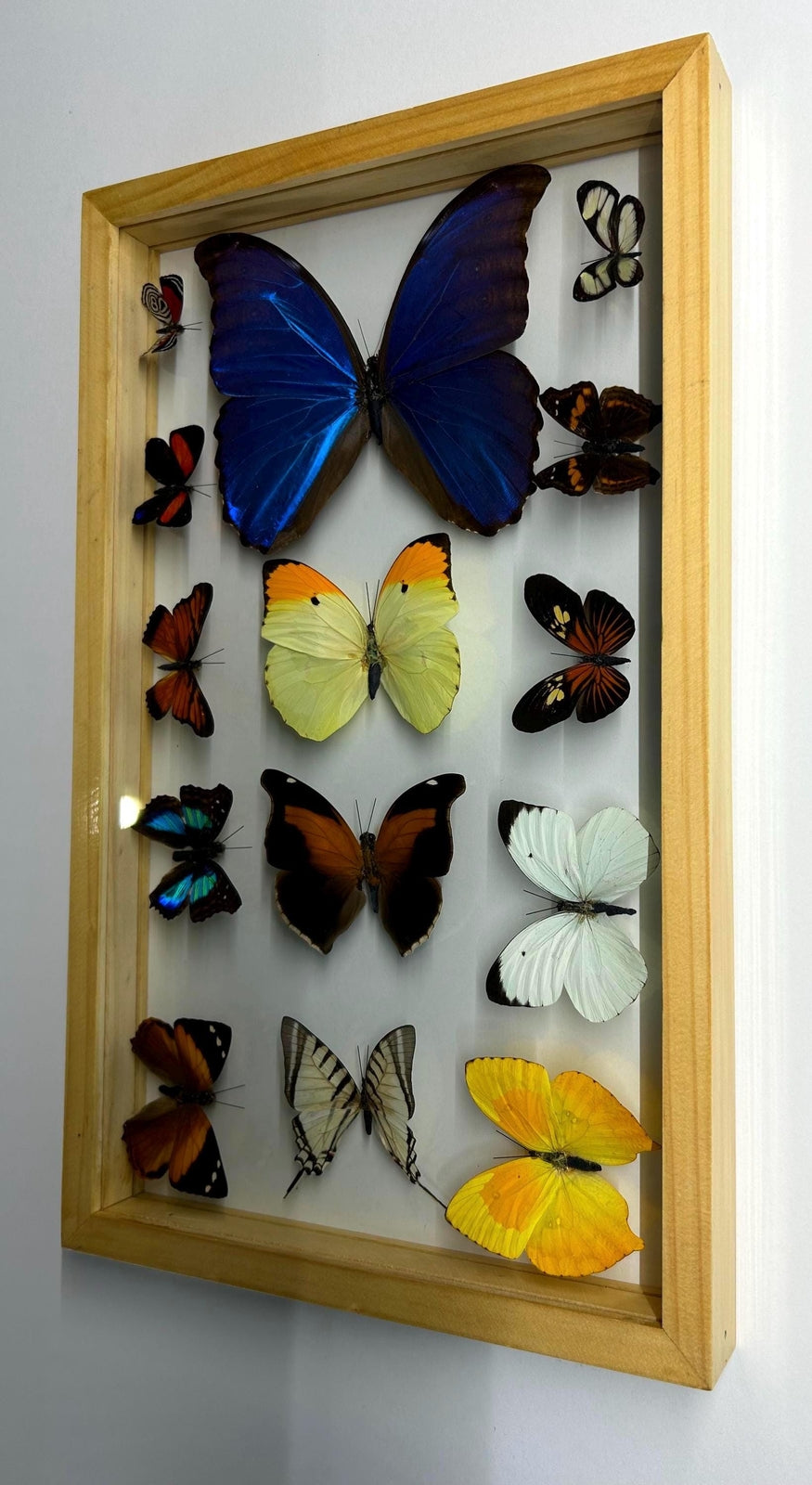 Mothers Day Gift Framed Butterflies