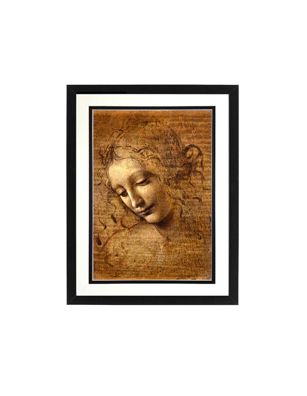 Leonardo da Vinci  Framed Print