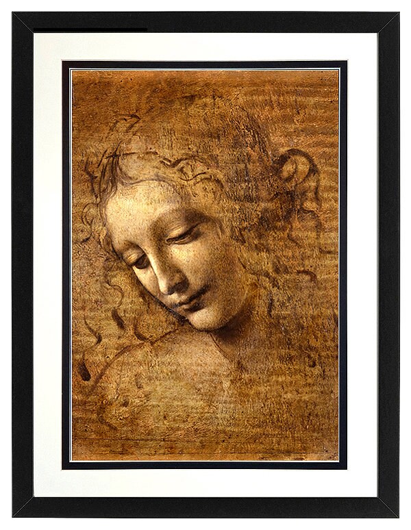 Leonardo da Vinci  Framed Print