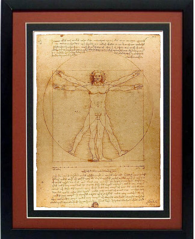 Leonardo Vetruvian Man Framed Poster