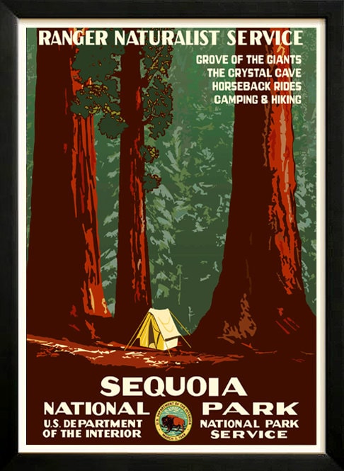 Sequoia National Park Retro poster 1930s WPA Custom Framed A+ Quality