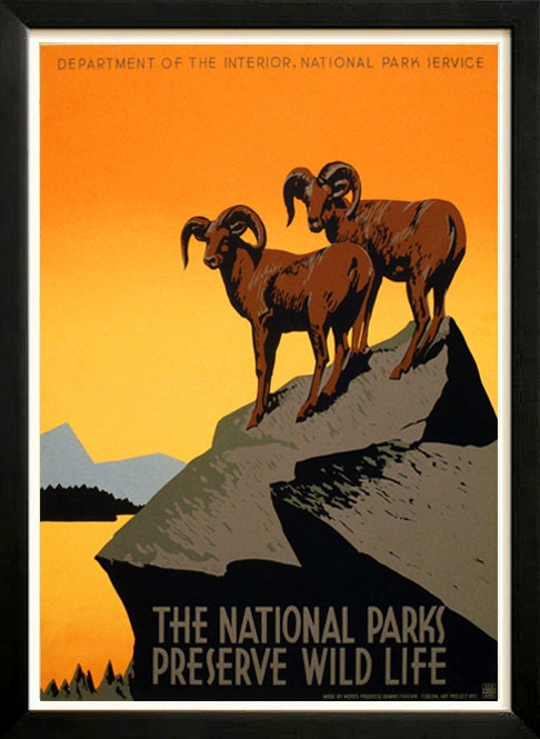 Preserve Wildlife Bighorn Sheep Department of Interior Retro poster 1930s Custom Framed A+ Quality