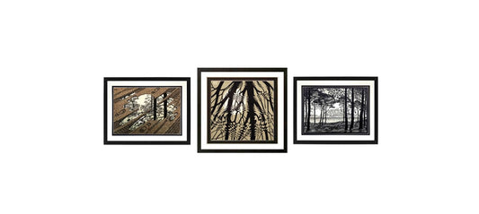 M.c. Escher Art framed Set Nature Series