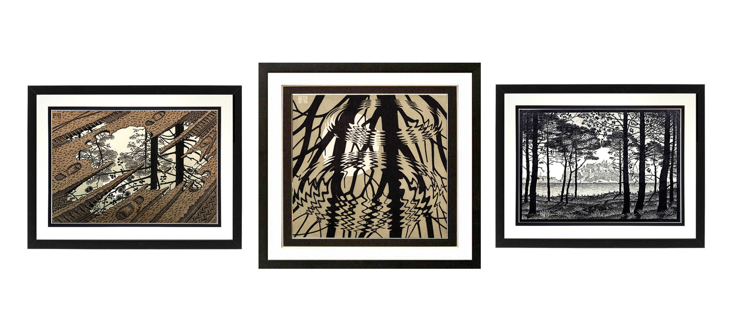 M.c. Escher Art framed Set Nature Series