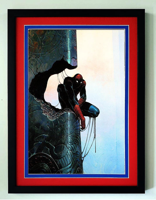 Spider Man Poster Framed