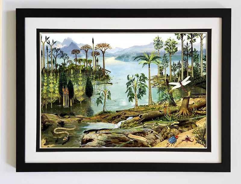The Age of Amphibians Framed Art Print