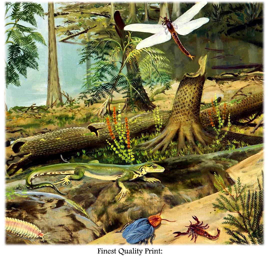 The Age of Amphibians Framed Art Print