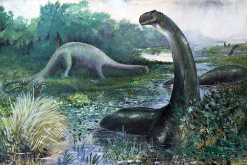 brontosaurus by charles knight