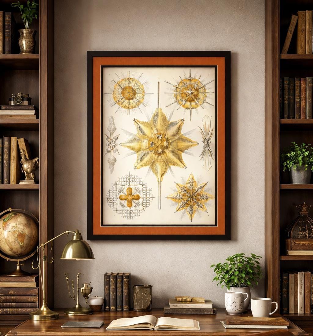 Radiolaria by Ernst Haeckel Framed Print – Antique Marine Biology Illustration – Scientific Art – Natural History Wall Decor