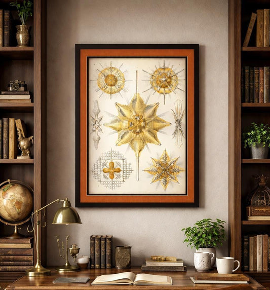 Radiolaria by Ernst Haeckel Framed Print – Antique Marine Biology Illustration – Scientific Art – Natural History Wall Decor