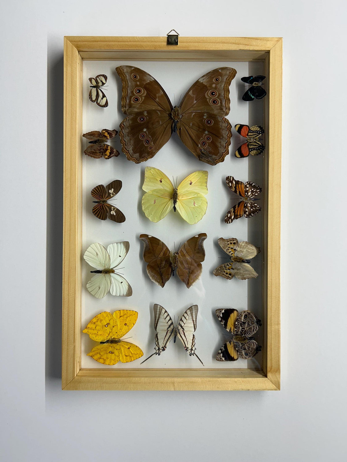 Mothers Day Gift Framed Butterflies